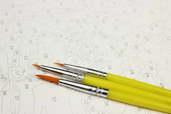 brushes for drawing pictures by numbers, copyspace