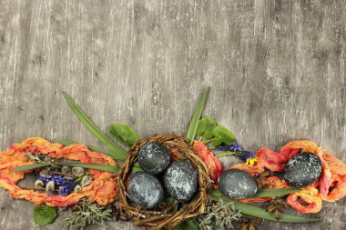 Yuvadaki menekşe Paskalya yumurtaları ve gri arka plandaki çiçekler üst görünüm, boşluğu kopyala