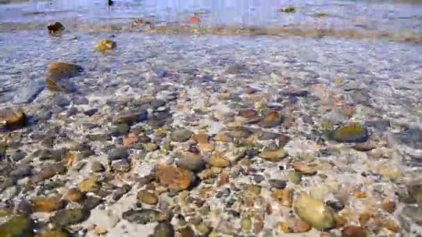 Natureza limpa ondas do mar em direção à costa de Sattahip Chonburi Tailândia — Vídeo de Stock