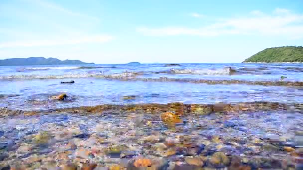 Temiz doğa deniz ve mavi gökyüzü dalgalar kıyıya doğru — Stok video