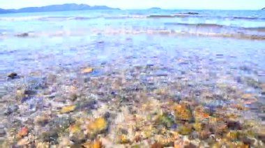 Dalgalar kıyıya doğru deniz temiz doğa 