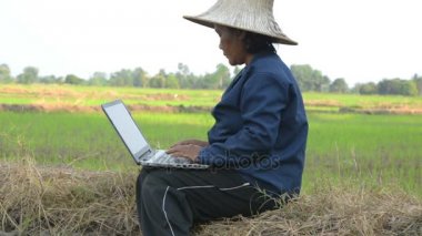 Pirinç alandaki dizüstü bilgisayar kullanarak Asya Tay çiftçi