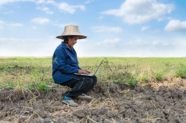 Pirinç alandaki dizüstü bilgisayar kullanarak Asya Tay çiftçi