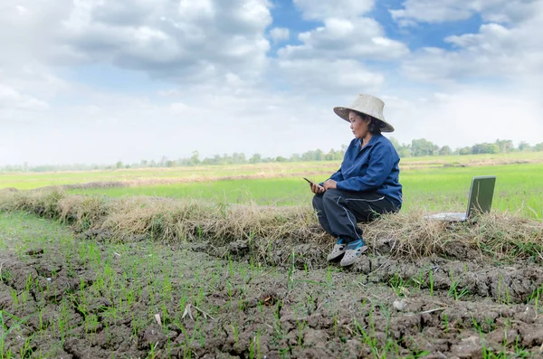 Asijské Thajština farmář pomocí smartphone a notebook počítač v ri — Stock fotografie