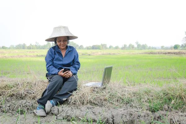 Asijské Thajština farmář pomocí smartphone a notebook počítač v ri — Stock fotografie
