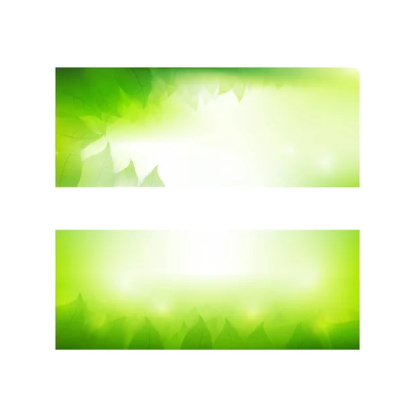 Set of banner gradient green background element with transparenc — Stock Vector