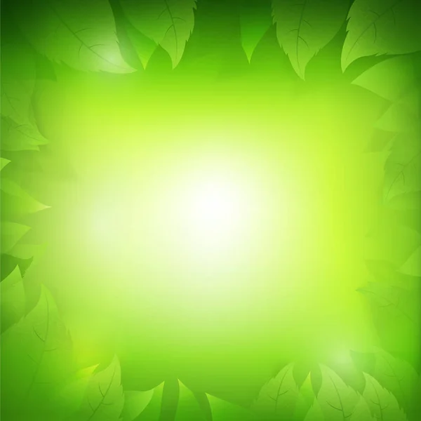 Abstrakta tonad grön bakgrund med öppenhet blad för EG — Stock vektor