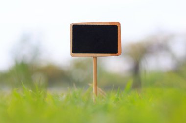 Shot boş ahşap tabela yeşil çim sığ derinliği üzerinde kapatın 