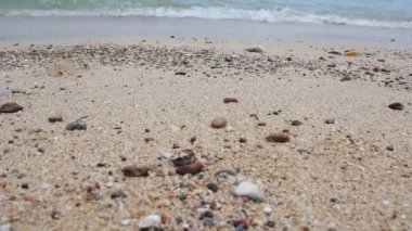 Dalgalar deniz kum plaj kıyısında atılır