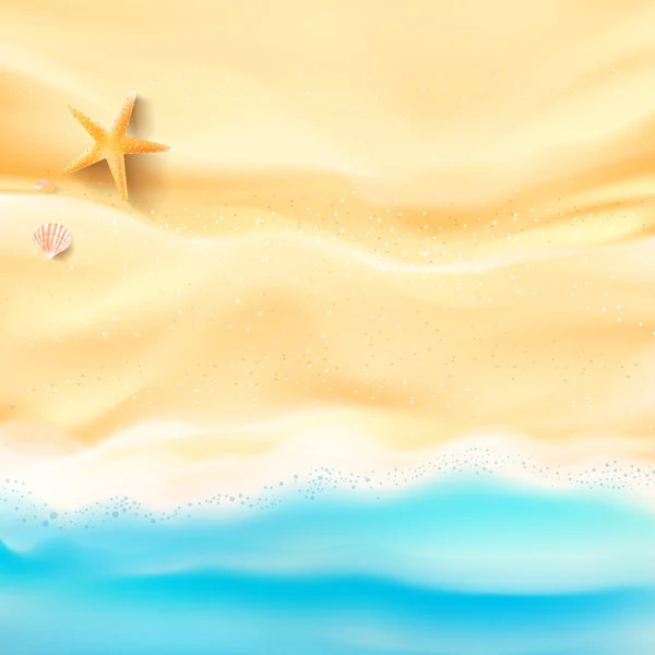 Arka plan kum ve deniz plaj deniz yıldızı deniz hayvanı kabuğu ve rock w — Stok Vektör