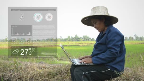 Agricultor tailandês asiático usando computador portátil no campo de arroz com HUD cabeça para cima display interface gráfico círculo carregando elemento meteorológico — Vídeo de Stock