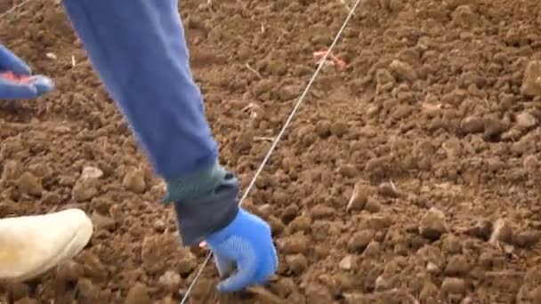 4k Close up shot boer beplanting corn op droog land aarden in tropische plaats door oude methode — Stockvideo