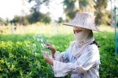 Çiftçi Hud kafası kadar görüntü arayüzü için temiz tablet kullanma