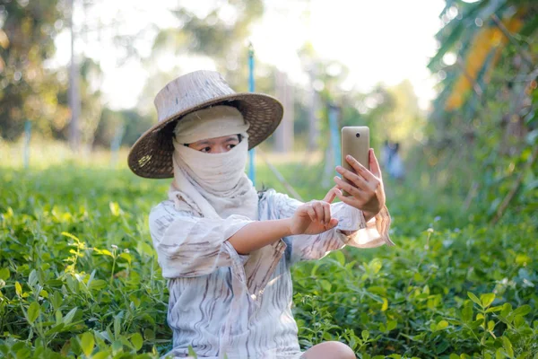 Zblízka zastřelil farmář pomocí mobilní smartphone v přírodě farmě — Stock fotografie