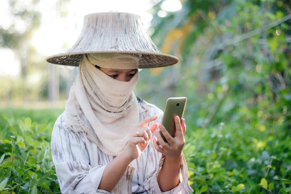 Primer plano granjero utilizando teléfono inteligente móvil en la granja de la naturaleza — Foto de Stock