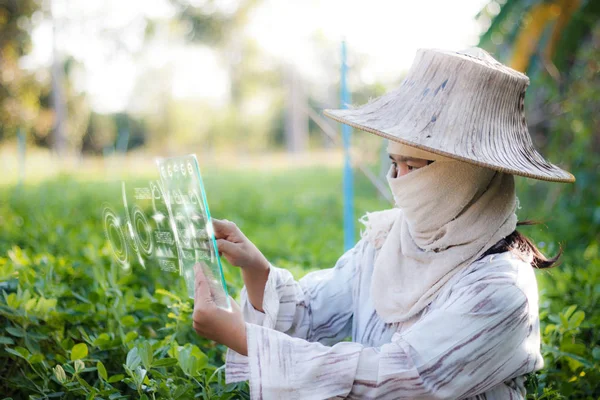 Farmář tabletu jasné Hud hlavu display rozhraní pro — Stock fotografie