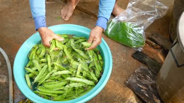 农村农民清洁新鲜蔬菜 — 图库视频影像