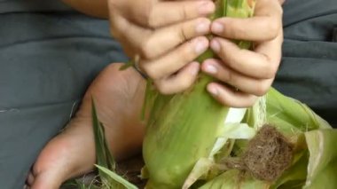 Elinde taze çiğ Mısır soyma kadın aşçı için hazırlamak atış yukarıya kapatmak