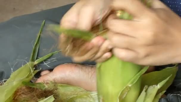 Крупним Планом Застрелені Руки Жінки Очищають Свіжу Сиру Солодку Кукурудзу — стокове відео