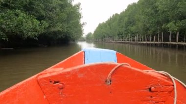 Konserve deniz doğa ortamı iletmek neredeyse mangrov orman Nehri Haliç, teknemi başka yere görünümü