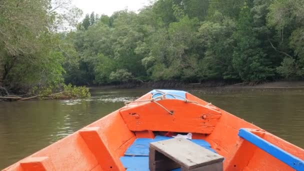 小船看法向前移动近红树森林在河口保护海自然环境 — 图库视频影像