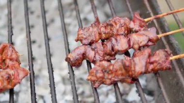 Kavrulmuş ızgara tavuk karaciğer üzerinde kömür sobası
