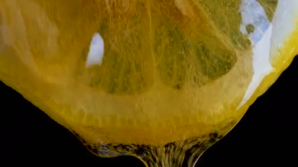 Pouring Honey Fresh Slice Lemon Againt Black Blackground — Stock Video