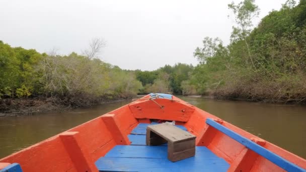 小船看法向前移动近红树森林在河口保护海自然环境 — 图库视频影像