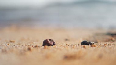 Deniz dalgalı kumsal, yaz atmosferli sığ alan derinliğini seç.