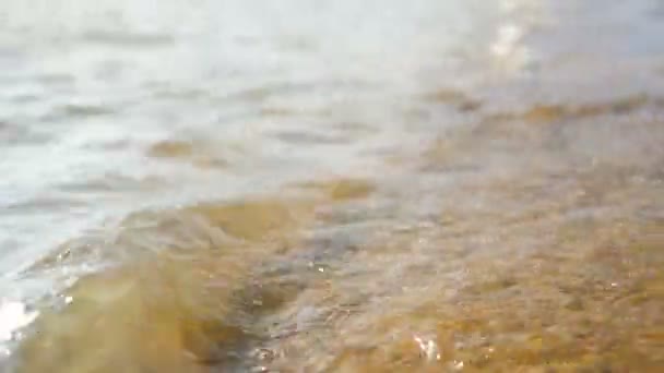 Praia Areia Com Onda Mar Selecione Foco Profundidade Rasa Campo — Vídeo de Stock