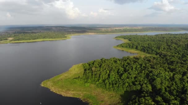 Hava Manzaralı Drone Tropikal Doğa Ağacı Ormanını Büyük Bir Nehre — Stok video