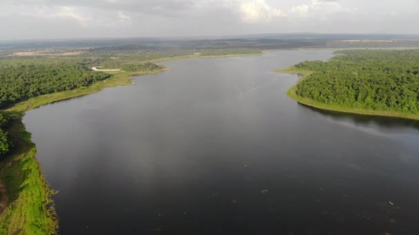 Hava Manzaralı Drone Tropikal Doğa Ağacı Ormanını Büyük Bir Nehre — Stok video