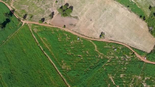 Vista Aerea Drone Girato Paesaggio Panoramico Tropicale Natura Albero Foresta — Video Stock