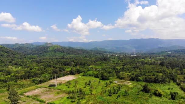 Luchtfoto Drone Schot Schilderachtig Landschap Tropisch Natuur Boom Woud Tegen — Stockvideo