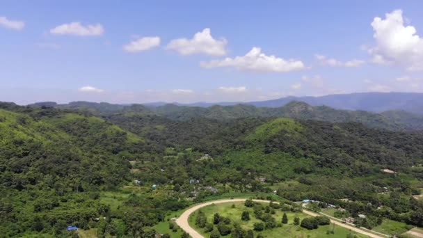 Hava Manzaralı Drone Tropikal Doğa Ağacı Ormanını Bir Dağa Karşı — Stok video