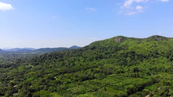 Hava Manzaralı Drone Tropikal Doğa Ağacı Ormanını Bir Dağa Karşı — Stok video