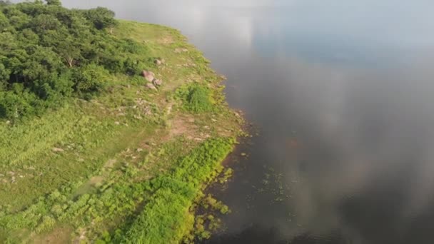 空中景观无人驾驶飞机在一条大河的映衬下拍摄了风景秀丽的热带天然林 — 图库视频影像