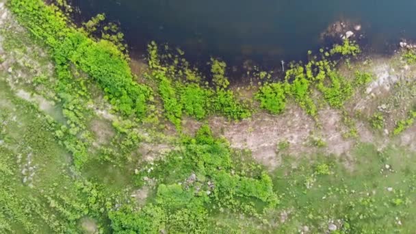空中景观无人驾驶飞机在一条大河的映衬下拍摄了风景秀丽的热带天然林 — 图库视频影像
