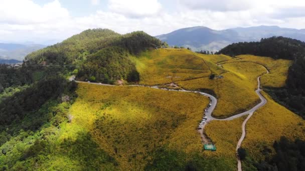 空中风景无人驾驶飞机拍下了热带黄花 向日葵 自然林与高山的风景 — 图库视频影像