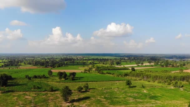 Vista Aérea Drone Tiro Escénico Paisaje Tropical Bosque Árboles Naturaleza — Vídeos de Stock