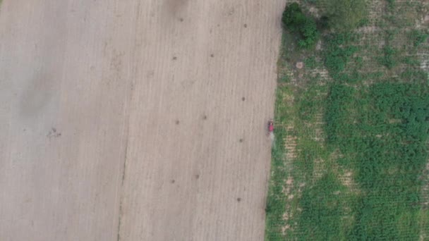 Vue Aérienne Photo Drone Paysage Pittoresque Nature Tropicale Forêt Arborée — Video