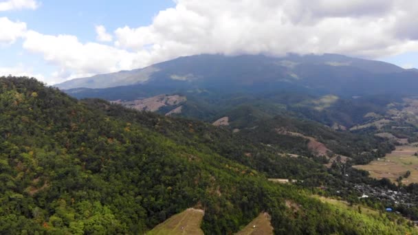 Hava Manzaralı Drone Tropikal Doğa Ağacı Ormanını Bir Dağa Karşı — Stok video