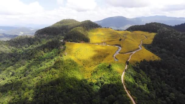 空中ビュードローンは 山に対して熱帯黄色の花ひまわりフィールド自然の木の森の風光明媚な風景を撮影 — ストック動画