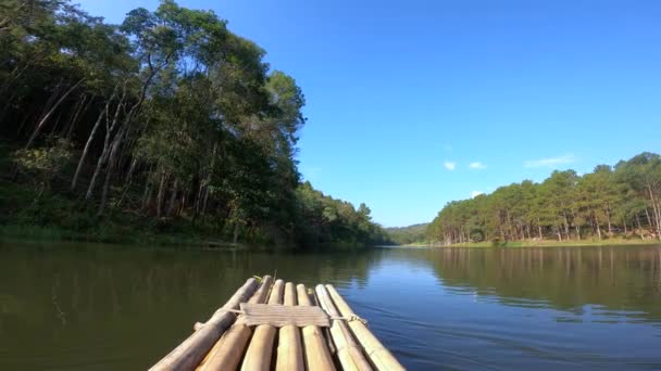 Вітрильний Бамбуковий Човен Великій Річці Проти Природного Дерева Лісу — стокове відео