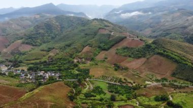 Hava manzaralı drone, tropikal doğa ağacı ormanını bir dağa karşı çekti.
