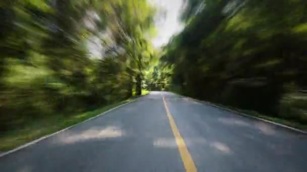 Время Пути Сельской Дороге Быстрая Скорость Движения Сельской Местности Деревом — стоковое видео