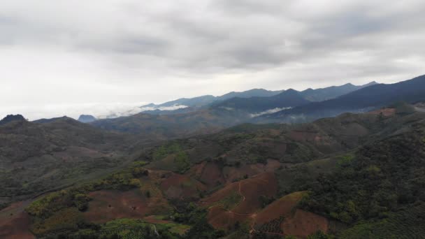 Vista Aerea Drone Colpo Panoramico Paesaggio Tropicale Natura Albero Foresta — Video Stock
