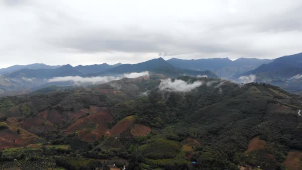 Hava Manzaralı Drone Tropikal Doğa Ağacı Ormanını Bir Dağa Karşı — Stok video