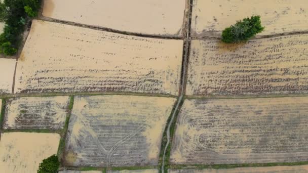 ドローンは 田舎で農業農場の風光明媚な風景を空中ビューを撮影 — ストック動画