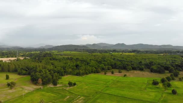 Drone Shot Vue Aérienne Paysage Pittoresque Une Ferme Agricole Asie — Video